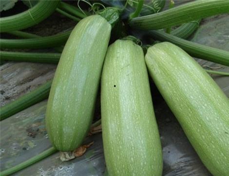 娱乐圈吃瓜有什么好处